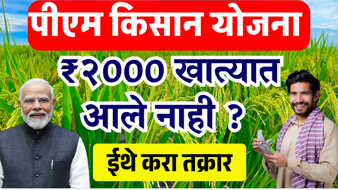 PM kisan
